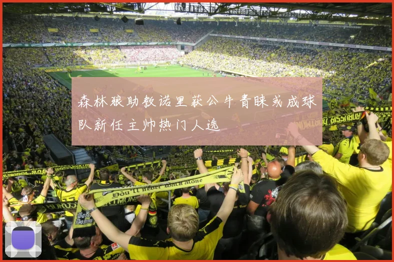 森林狼助教诺里获公牛青睐或成球队新任主帅热门人选