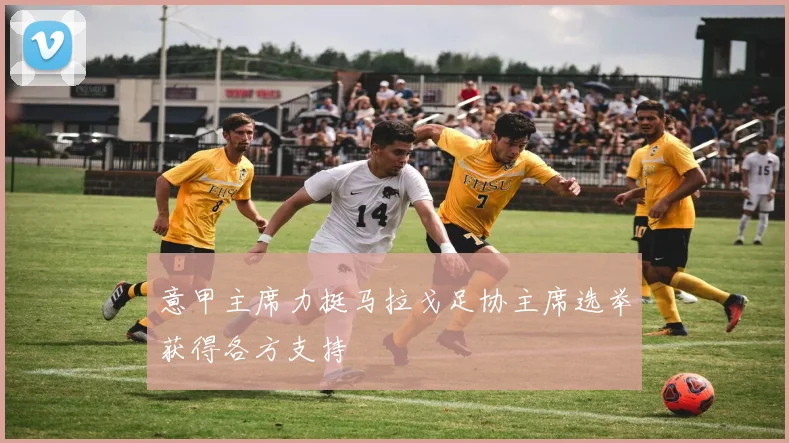 意甲主席力挺马拉戈足协主席选举获得各方支持